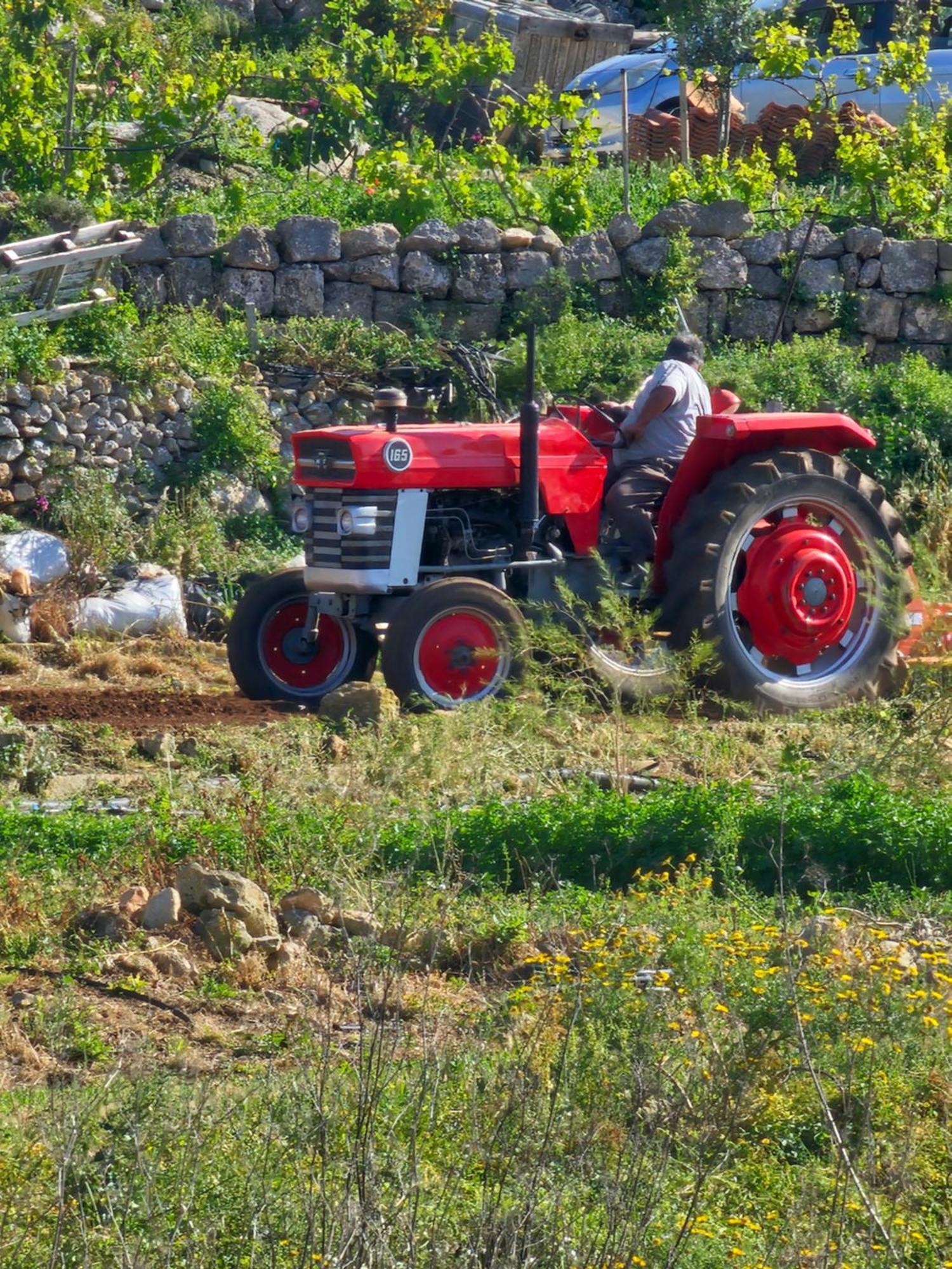 Country View *