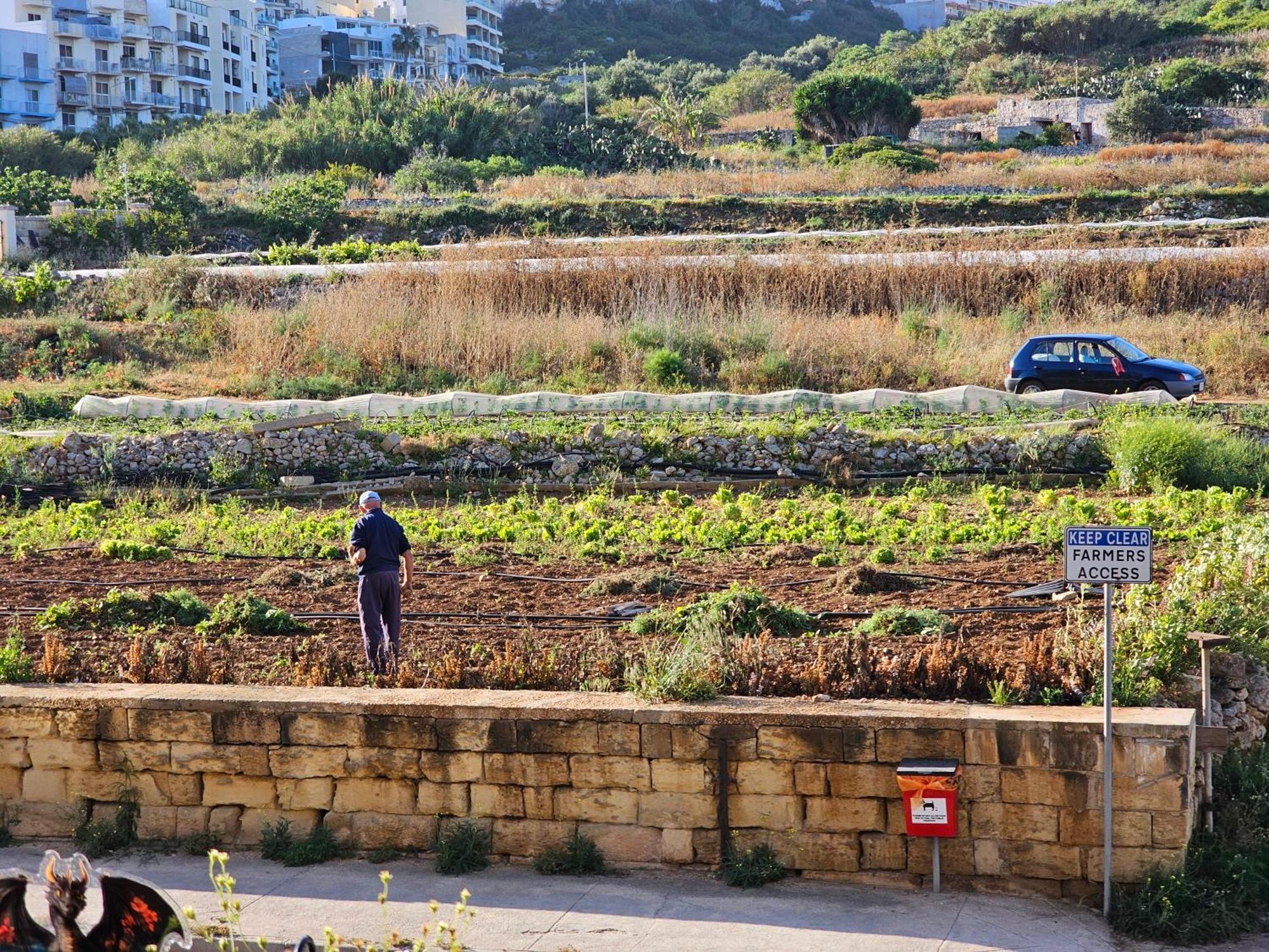 Country View * Mellieħa